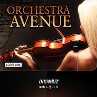Orchestra Avenue product image