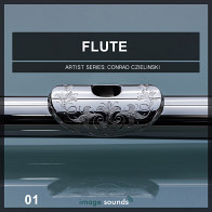 Flute 1 - Power Flute Loops product image