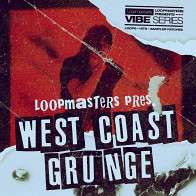 VIBES 9 - West Coast Grunge product image