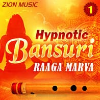 Hypnotic Bansuri Vol 1 product image