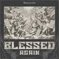 Blessed Again product image