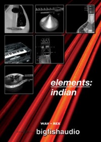 Elements: Indian - Authentic traditional Indian loops and performances