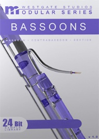 Bassoon Solo Modular Series Download - Comprehensive Solo Bassoon library with state-of-the-art programming