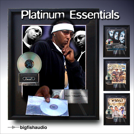Platinum Essentials - Hip Hop and R&B loops, kicks, snares, percussion, bass, synths and more