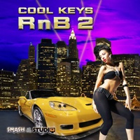 Cool Keys RnB 2 - Super cool RnB keyboard loops, fantastic quality and highly authentic