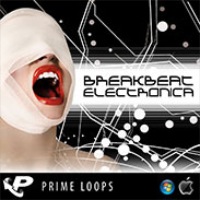 Breakbeat Electronica - A highly addictive digitized mashup to assault the senses