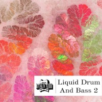 Liquid Drum & Bass 2 - A huge range of sounds from energetic arps to smooth lush keys and much more