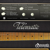 Telematic - A deeply sampled Fender Telecaster