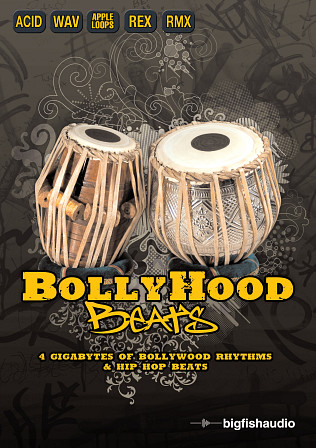Bollyhood Beats - Perfect fusion of Hip Hop beats with traditional Indian percussion