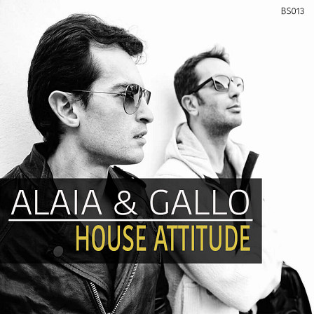 Alaia & Gallo: House Attitude - 300+ Mb of funky, groovy & body-moving sound content