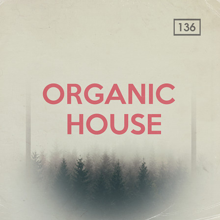 Organic House - Melancholic chord progressions, blissful harmonies, airy woodwinds & more