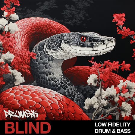 Low Fidelity Drum & Bass - Explore the realm of lo-fi DnB fused with modern production elements