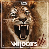 Wildcats - Tigers & Lions - 3.4GB of growls, sniffs, snarls, mating calls, moans and incredible roars