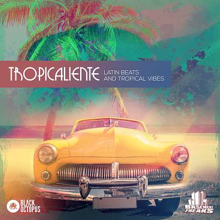 Tropicaliente - It's time for some straight funkin’ spicy latin flare