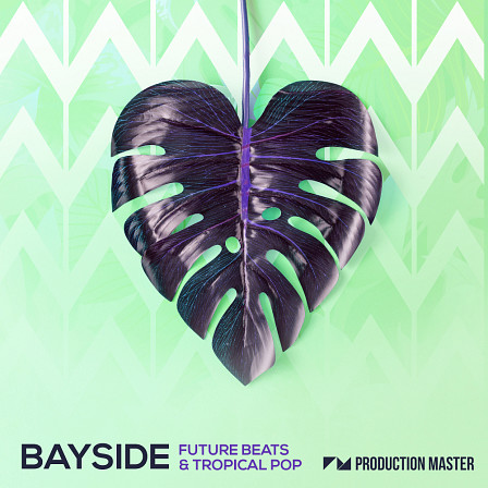 Bayside - Future Beats & Tropical Pop - Greeting you with the sound of Ibiza sunsets and late night beach parties