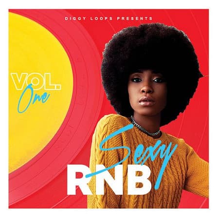 Sexy RnB Vol 1 - 'Sexy RnB Vol 1' is an amazing R&B Construction Kit filled with five hot kits