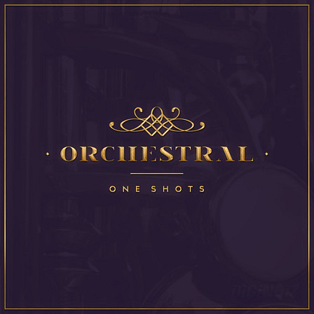 Orchestral One Shots - Over 200 orchestral one shots, ready to use in your compositions and productions