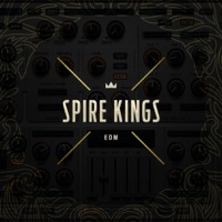 Spire Kings - Edm - 128 incredible Spire presets ready to be a part of your upcoming hits! 