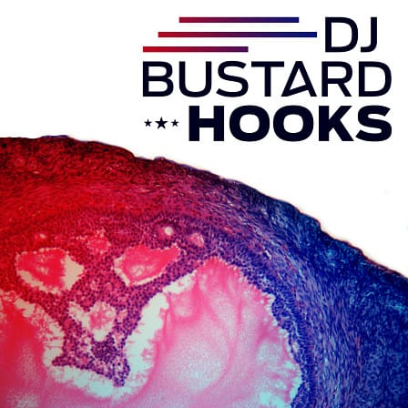 Dj Bustard Hooks - Over 100 MB of materials including great sounding, melodic, modern loops 