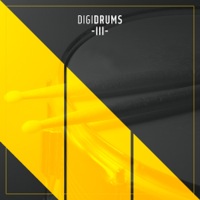 DigiDrums 3 - Dynamic, warm and fresh drum one-shots