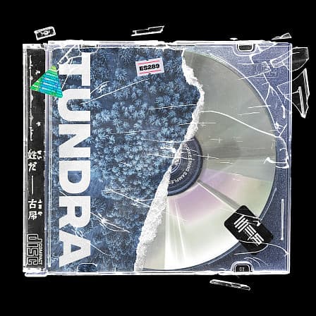 Tundra - Featuring the sounds of timeless Dub Techno and Electronica.