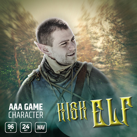 AAA Game Character High Elf - Summon a legendary High Elf character in your next game!