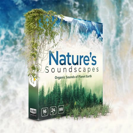 Nature's Soundscapes - Organic Sounds of Planet Earth - A dynamic sound library that includes premium quality background sounds