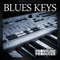 Blues Keys - Craig Milverton's blistering collection of lead trills, licks and chords