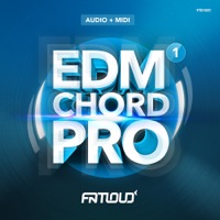 EDM Chord Pro Vol.1 - 23 EDM chord progressions consisting of 47 audio loops