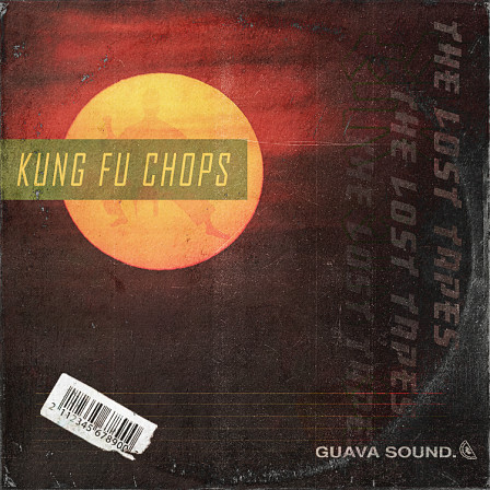 Kung Fu Chops: Vintage Hip Hop - 130MB of Kung Fu dialogue, Sfx, punches, kicks, swords and more