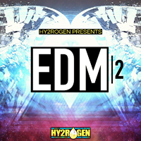 EDM 2 - This 2nd edition features more electro & progressive house anthem building tools
