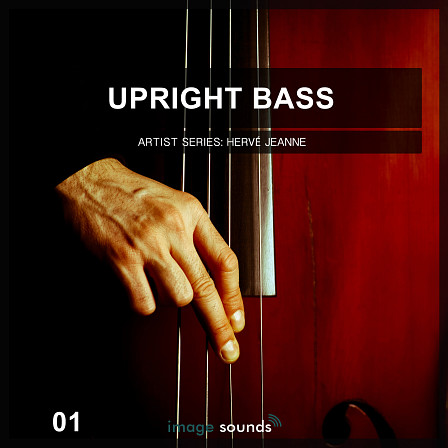 Upright Bass 1 - Smooth And Edgy Premium Loops - Captivate audiences with many different kinds of trendy upright loops