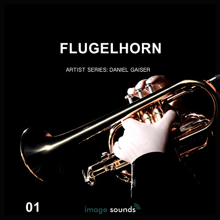 Flugelhorn 1 - A Big Warm Hug - A smoothness and texture that offers an array of sounds