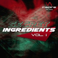 Secret Ingredients Vol.1 - The perfect Ingredients for a smash hit