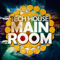 TD Audio Presents Tech-House Mainroom - Modern bass grooves, One shots and of course Big Room Riffs
