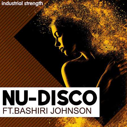 Nu Disco Ft. Bashiri Johnson - This latest disco collection is gonna be spot on, every time.
