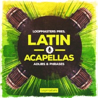 Latin Acapellas - Direct from the endless summer of sunshine and straight to your studio