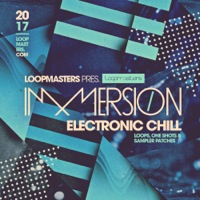 Immersion - Electronic Chill - A lush electronic landscape of sound