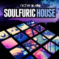 Soulfuric House - 13 emotive kits influenced by a wide range of Soul-House artists
