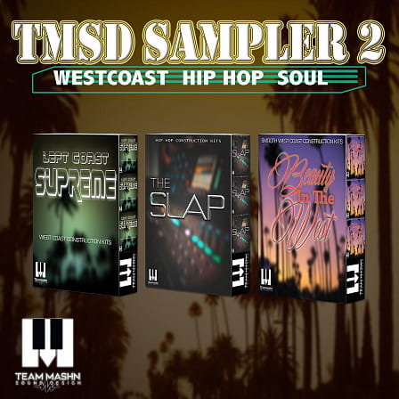 TMSD Sampler 2 - Fat vinyl drums, funky live Bass, Mini Moog bass, guitars and melodic melodies