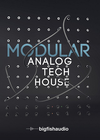 Modular: Analog Tech House - 50 unique construction kits full of real analog synth elements