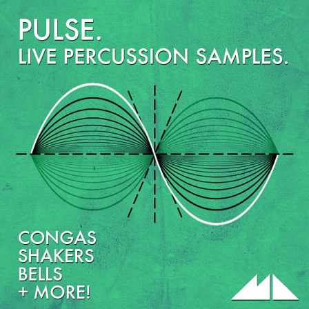 Pulse - Warm, saturated sound that is the very soul of our sound packs