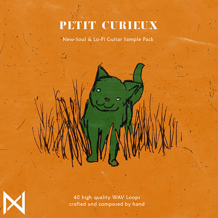 Petit Curieux - A Nostalgic New-Soul & Lo-Fi Guitar Sample Pack 