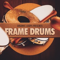 Frame Drums - A tribal collection of upbeat percussion sounds from the frame drum