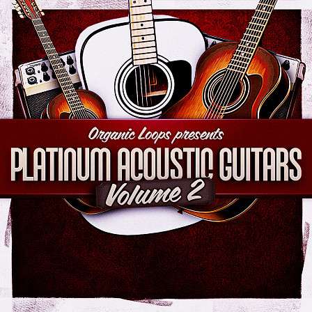 Platinum Acoustic Guitars 2 - An indispensable collection of glorious acoustic guitars