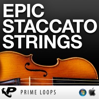 Epic Staccato Strings - A jam-packed collection of super-versatile staccato string samples