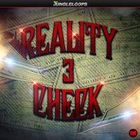 Reality Check 3 - 5 Hip Hop, Trap and Dirty South Construction Kits