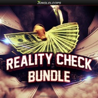 Reality Check Bundle - 15 of the hottest Construction Kits inspired by artists such as Lil Wayne