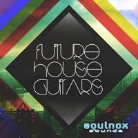 Future House Guitars - 50 live recorded guitar loops that you can mix and match in various ways