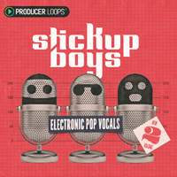 Stick Up Boys: Electronic Pop Vocals Vol 2 - Lo-fi drums, funky guitars, weird electronic FX and deep chorused vocals